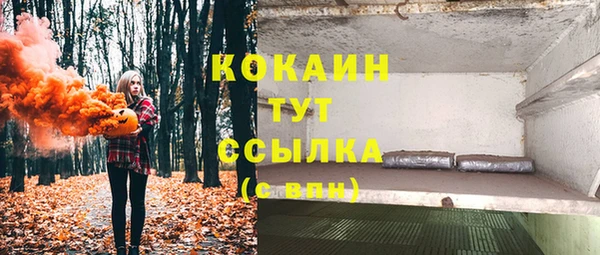 PSILOCYBIN Елабуга