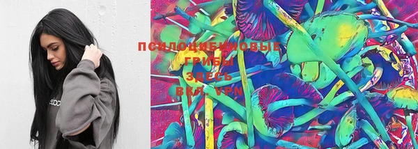 PSILOCYBIN Елабуга