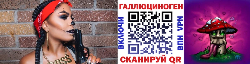 Купить  Шацк  Галлюциногенные грибы GOLDEN TEACHER 