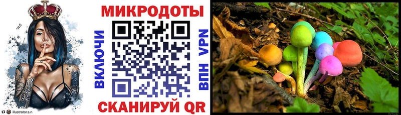 Галлюциногенные грибы мицелий Шацк